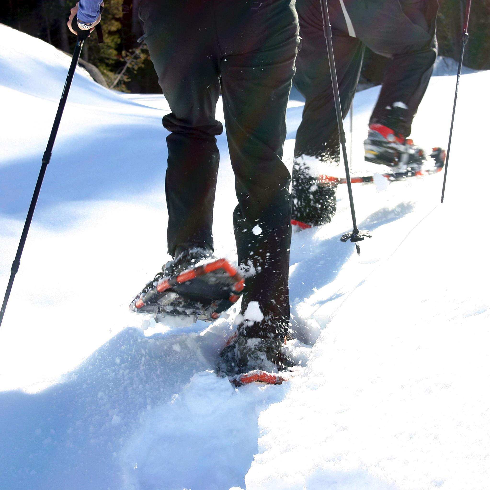 Guided Snowshoeing Experience in Vail and Aspen CUVÉE