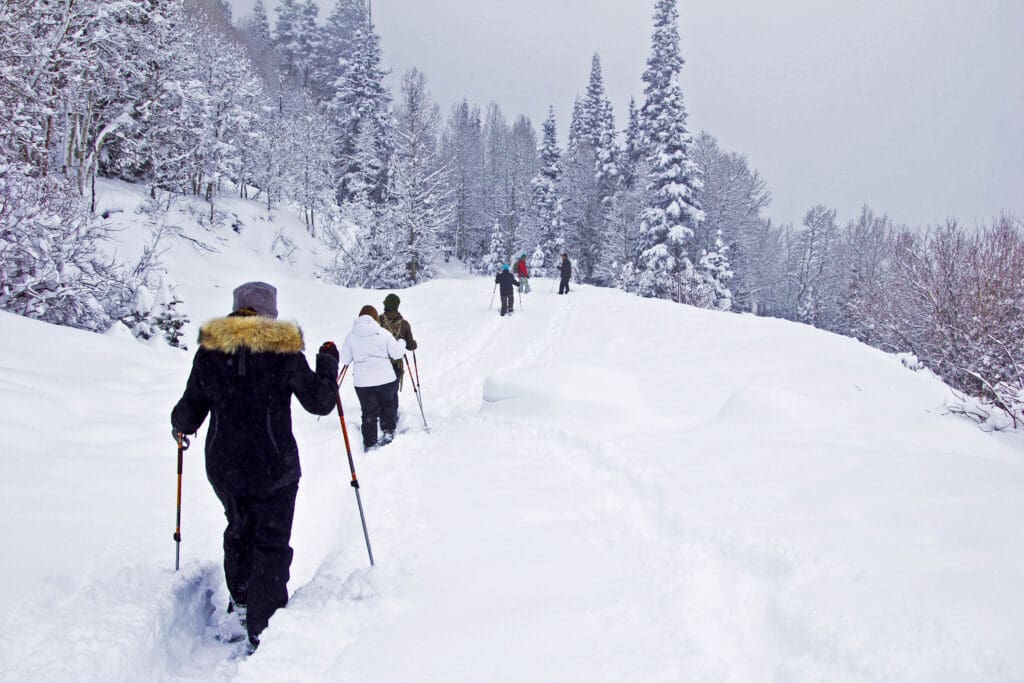 Cuvée cross country skiing.