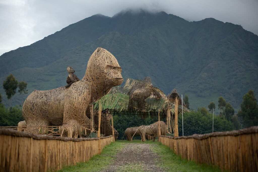 Gorilla Safari
